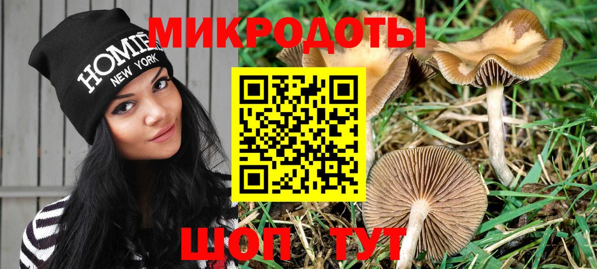 Ахтубинск  Галлюциногенные грибы мухоморы  Вход с VPN 